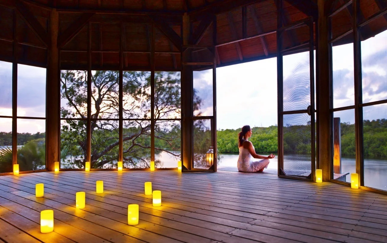 SCIENCE OF MEDITATION, MINDFULNESS AND HIGHER CONSCIOUSNESS